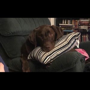 Meet your Posher, Heather